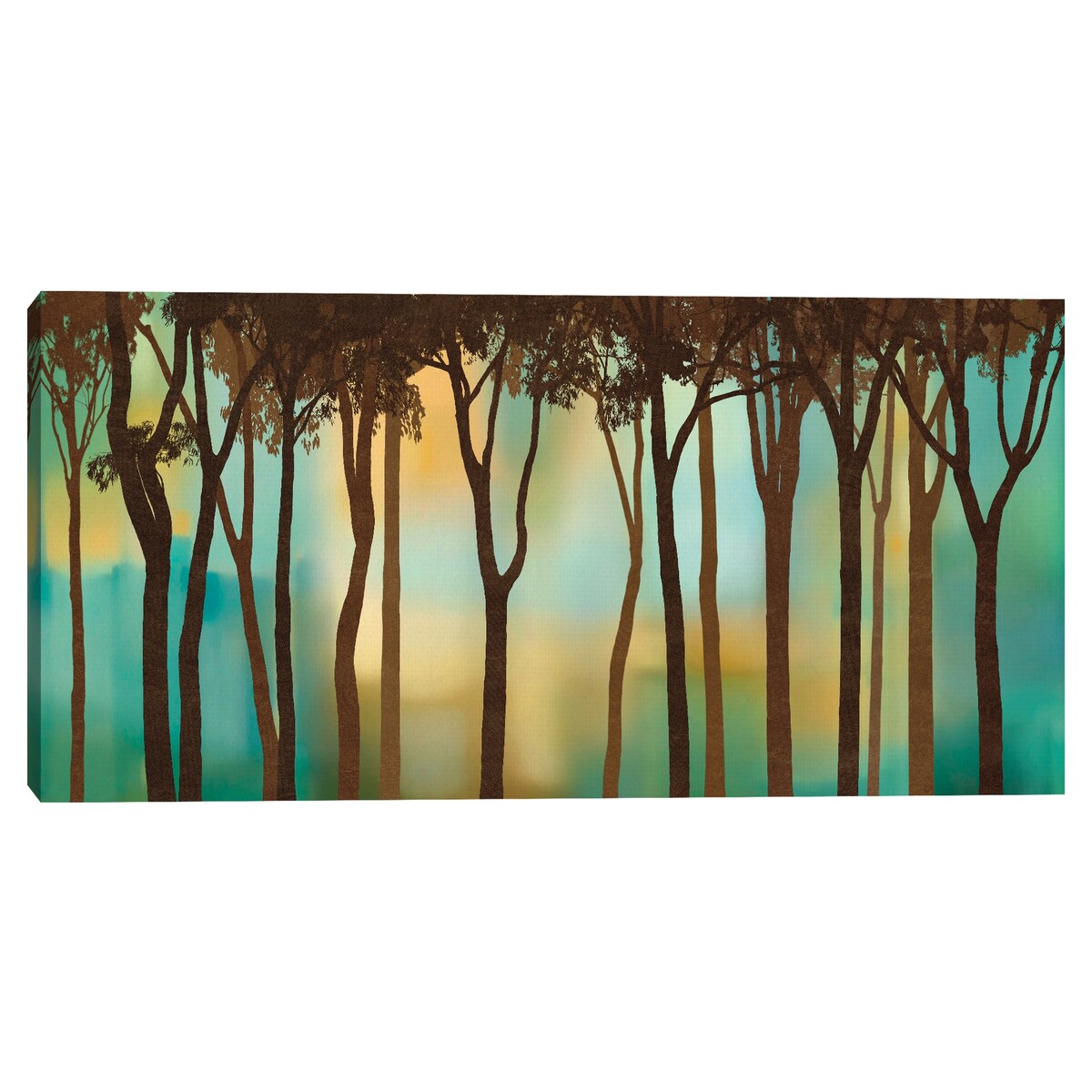 Moonlighting Canvas Art Print
