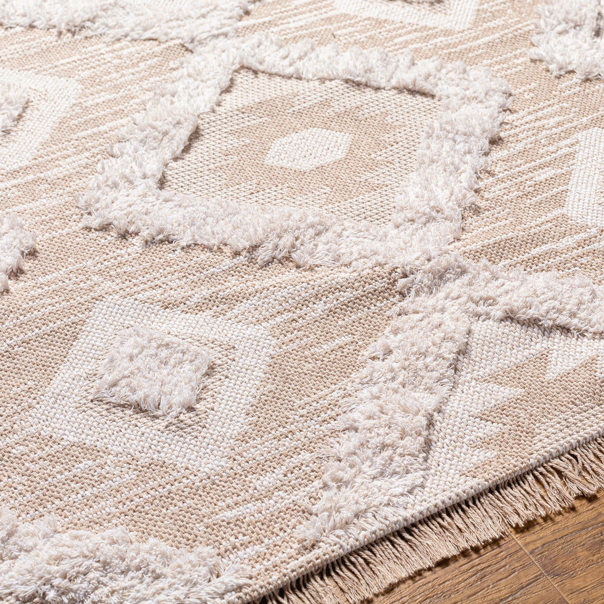 Livabliss Morocotton Boho Diamond Cotton Area Rug