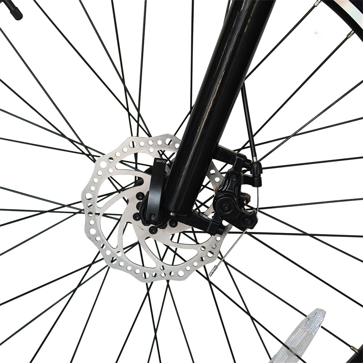 Mountain Electric Bike for Adults