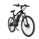 Mountain Electric Bike for Adults