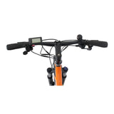 Mountain Electric Bike for Adults