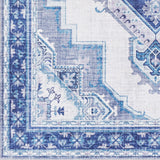 Mozelle Persian Medallion Area Rug