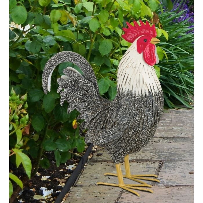 Murray Rooster Decor