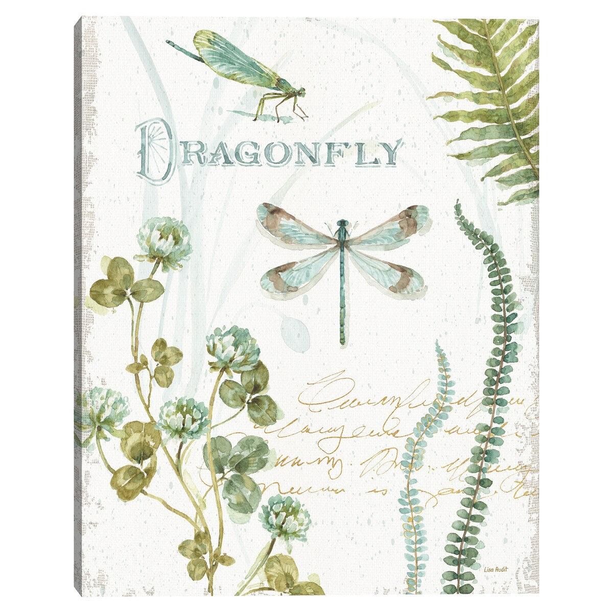 My Greenhouse Botanical Dragonfly by Lisa Audit Canvas Art Print