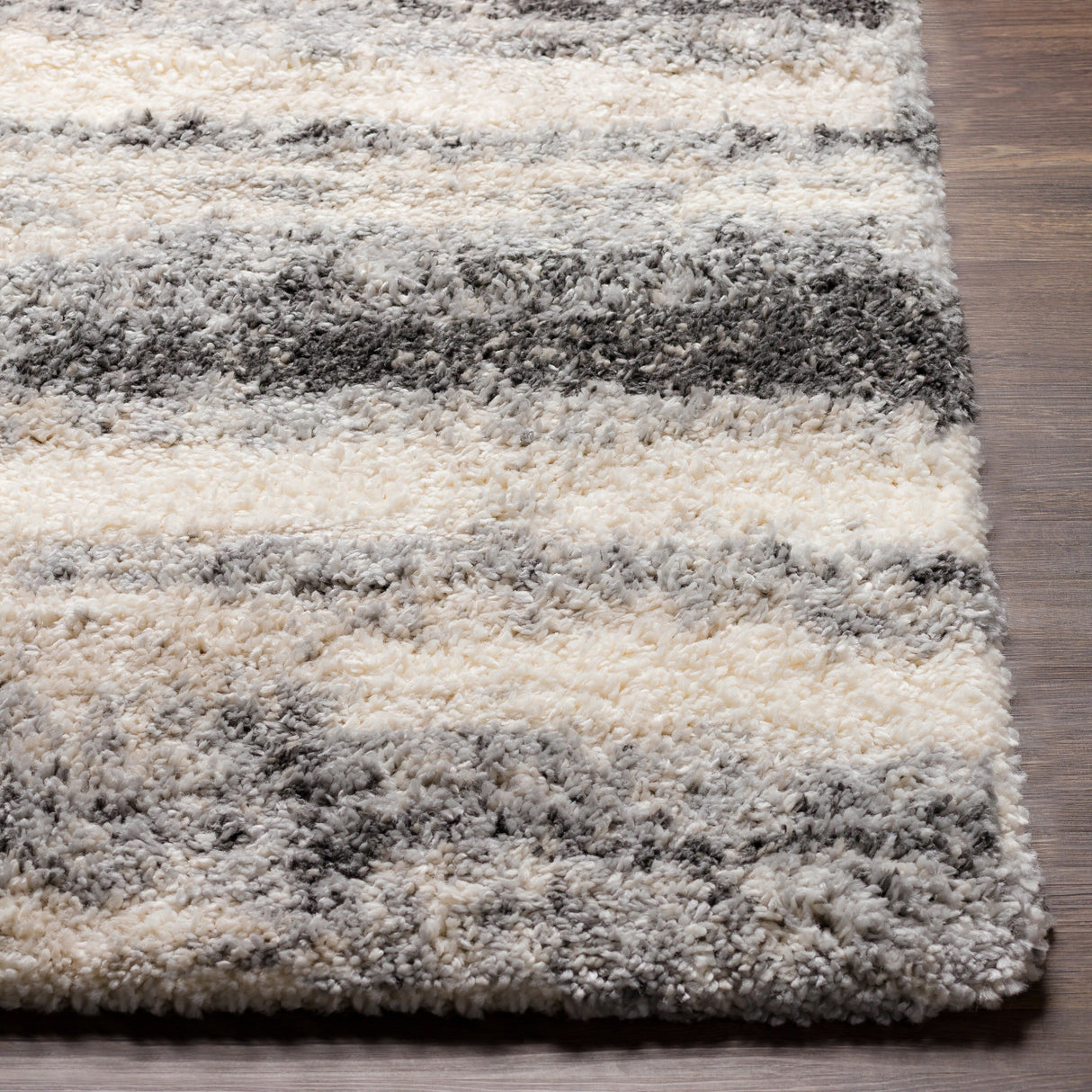 Artistic Weavers Naile Modern Shag Rug