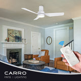 Nantes 44-inch Indoor Ceiling Fan with Remote,Dimmable LED Light Kit and Reversible DC Motor - N/A