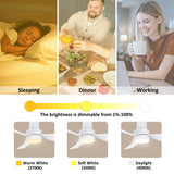 Nantes 44-inch Indoor Ceiling Fan with Remote,Dimmable LED Light Kit and Reversible DC Motor - N/A