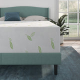 NapQueen Anula 12" Green Tea Memory Foam Mattress, Bed in a Box