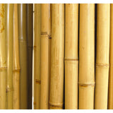 Natural Bamboo Fencing Decorative Fence 6 ft H x 8 ft L x 3/4 in D
