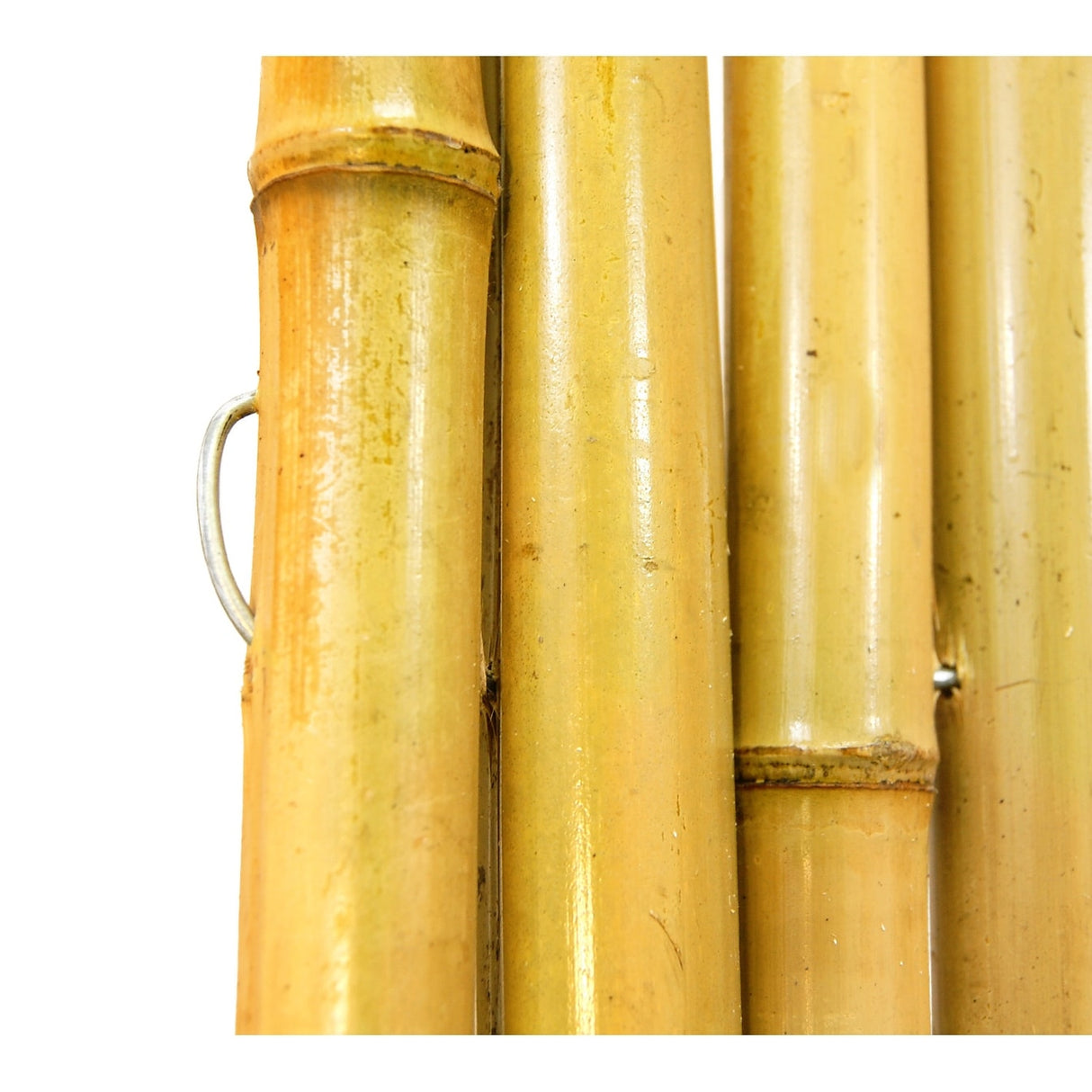 Natural Bamboo Fencing Decorative Fence 6 ft H x 8 ft L x 3/4 in D
