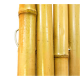 Natural Bamboo Fencing Decorative Fence 6 ft H x 8 ft L x 3/4 in D