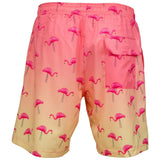 Naturdays Natural Light Flamingo Swimsuit