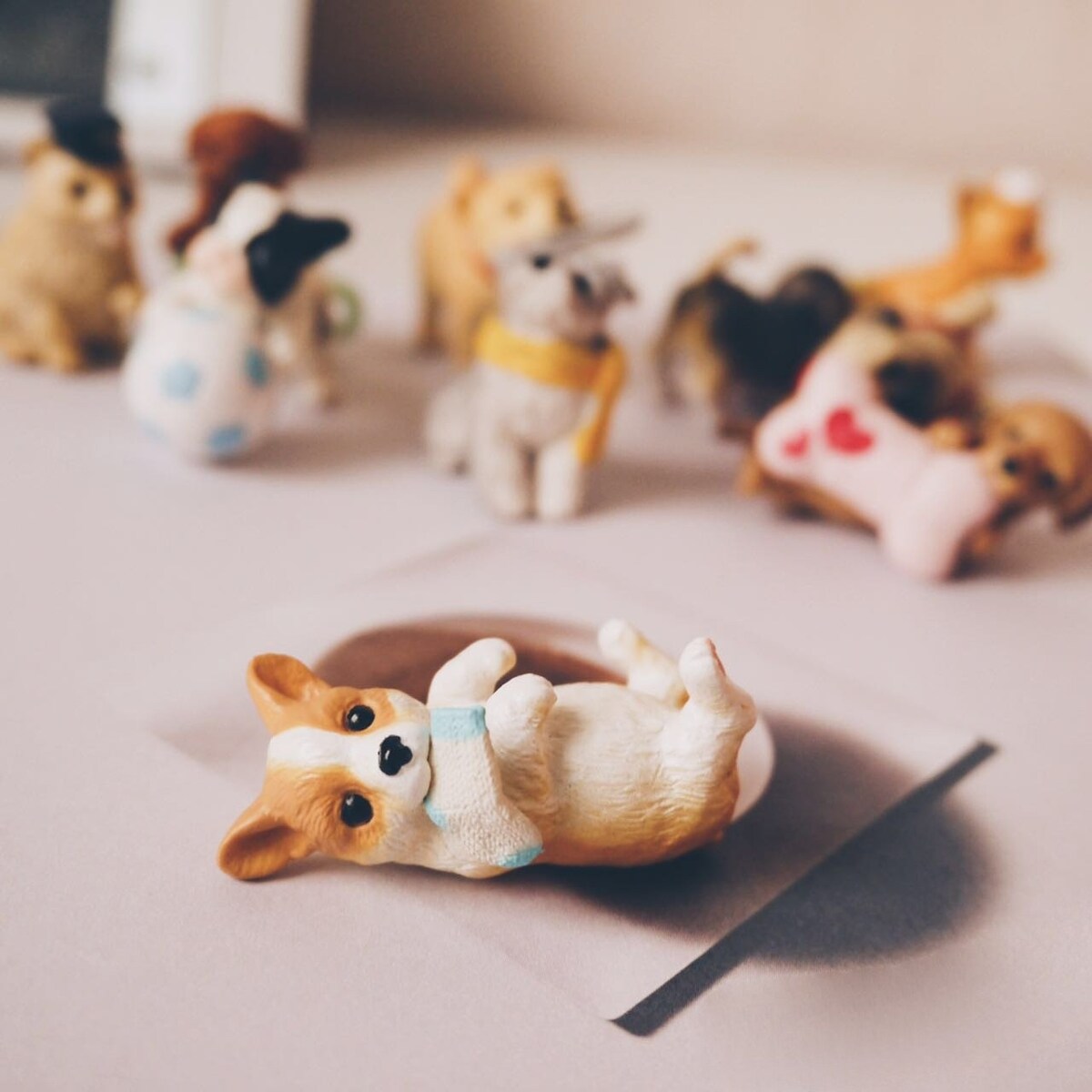 Petorama Corgi Miniature