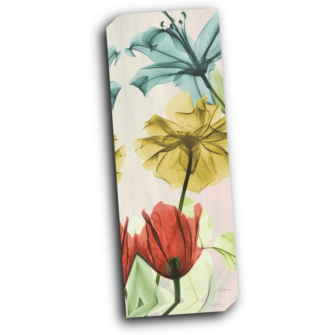 New Avalon VII 8x24 Gallery Wrapped Stretched Canvas