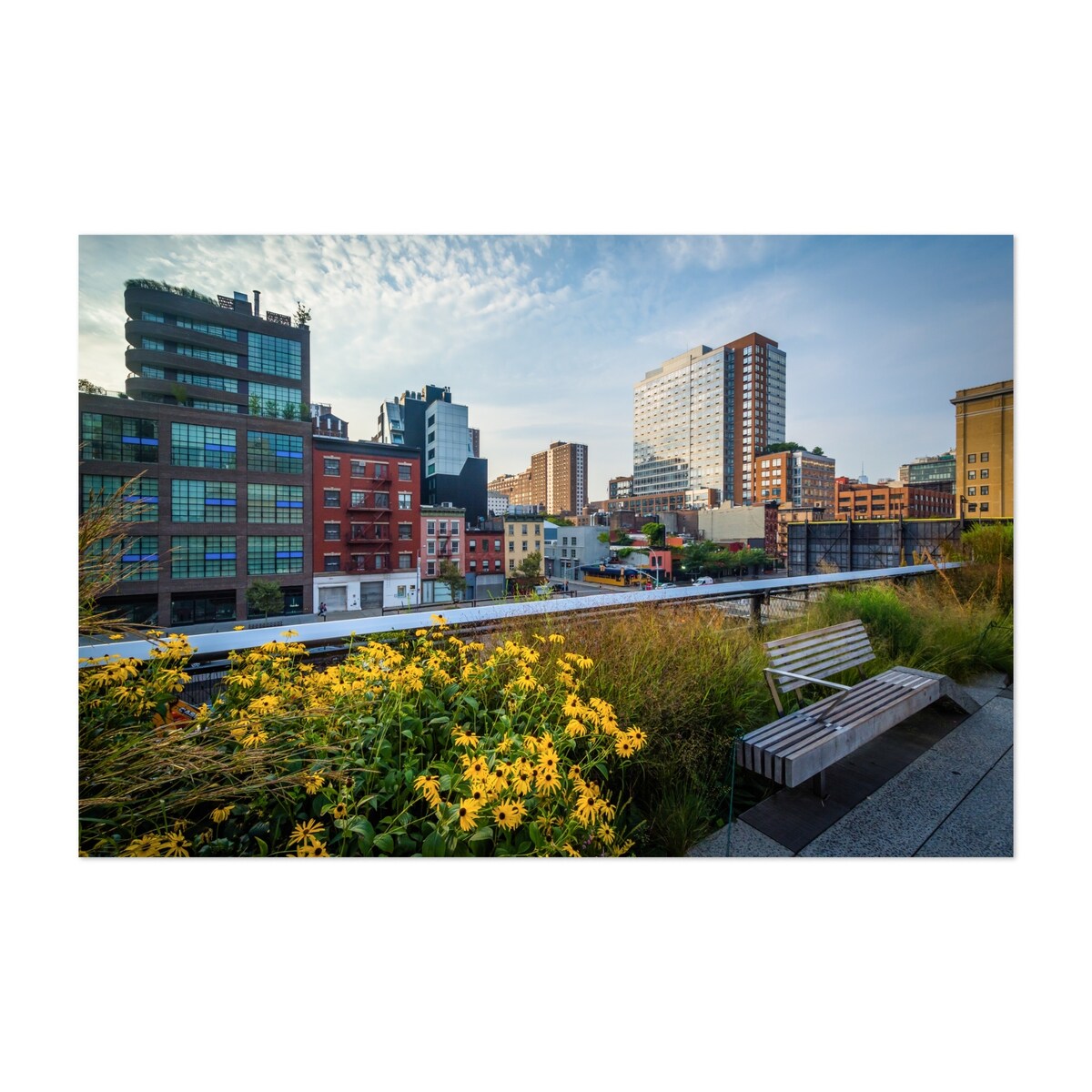 New York City Manhattan The High Line 03 Photography Art Print/Poster