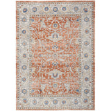 Nicole Curtis Series 4 Indoor only Persian Area Rug