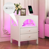 Nightstand with USB Charging Ports and LED Lights, 2 Drawers and Shelf