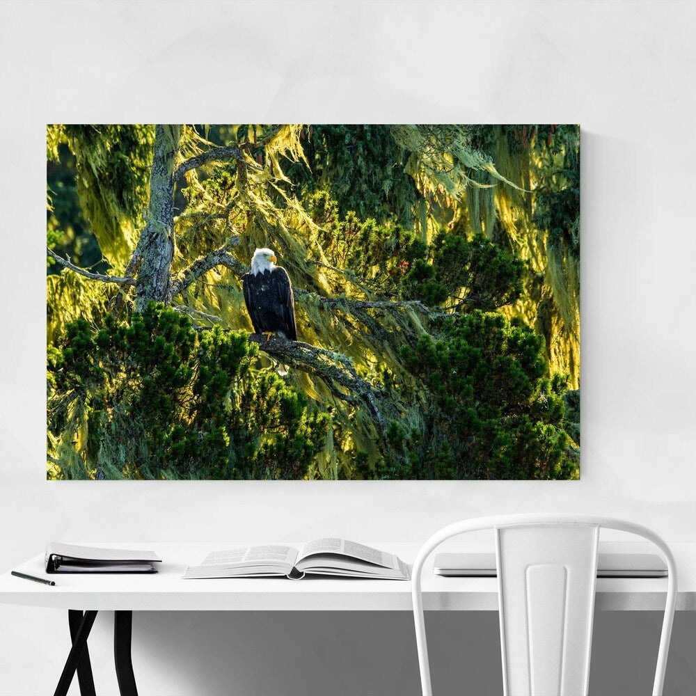 Noir Gallery Bald Eagle Bird Animal Wildlife Unframed Art Print/Poster