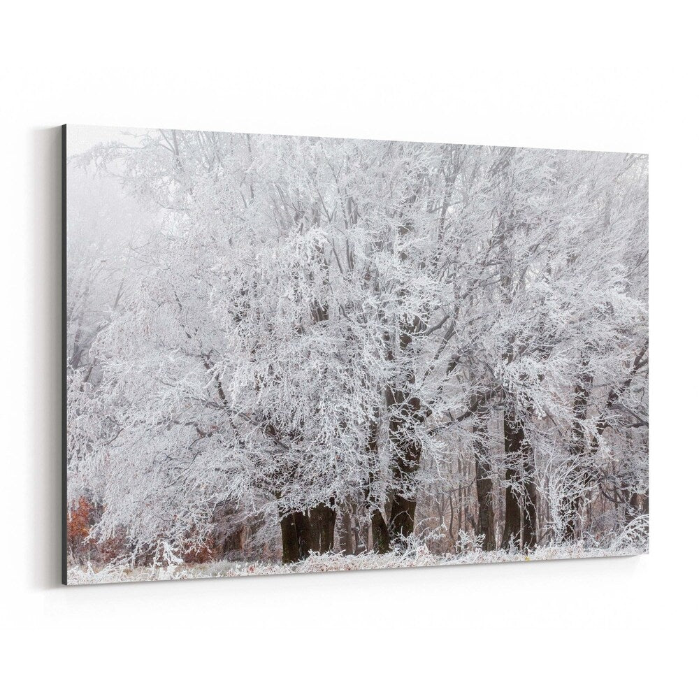 Noir Gallery Bulgaria Mountain Winter Canvas Wall Art Print