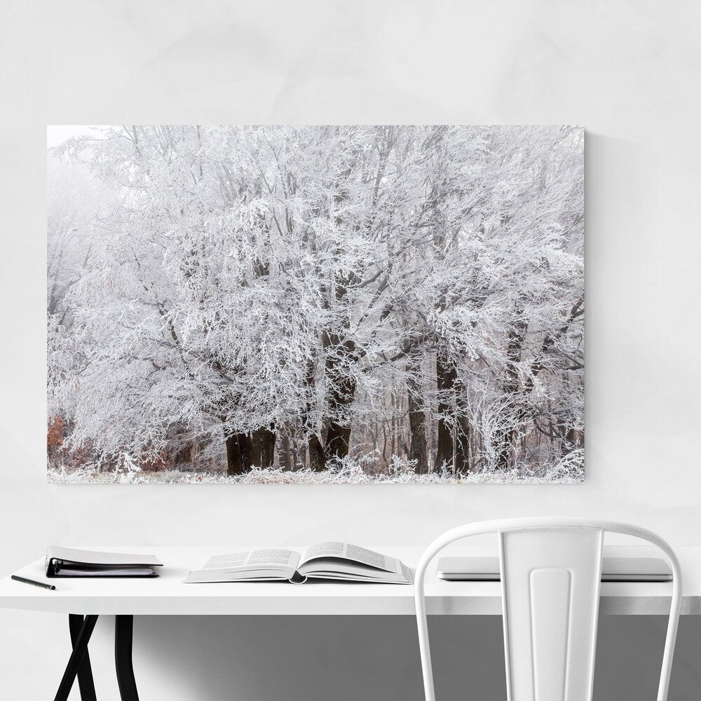 Noir Gallery Bulgaria Mountain Winter Canvas Wall Art Print