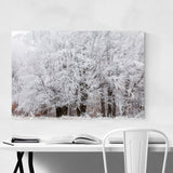 Noir Gallery Bulgaria Mountain Winter Canvas Wall Art Print