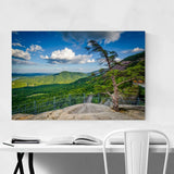 Noir Gallery Chimney Rock North Carolina Canvas Wall Art Print