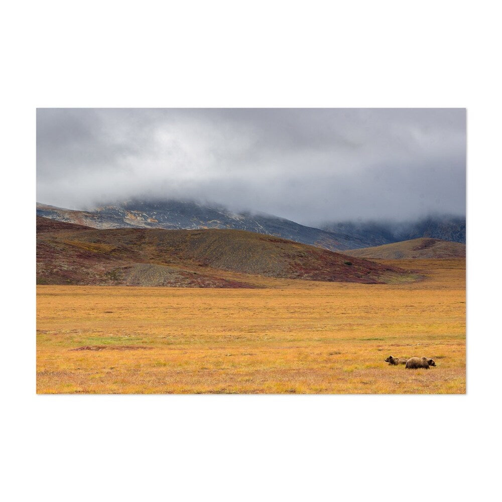 Noir Gallery Dempster Highway Yukon Canada Unframed Art Print/Poster