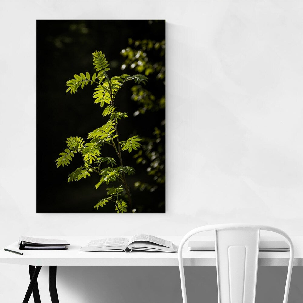 Noir Gallery Forest Plants Lush Nature Green Canvas Wall Art Print
