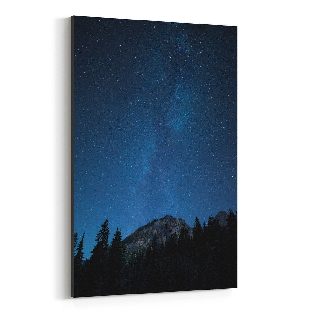 Noir Gallery Milky Way Night Sky Astronomy Canvas Wall Art Print