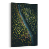 Noir Gallery Road in Forest Sweden Landscape Canvas Wall Art Print