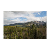 Noir Gallery Rocky Mountain Park Colorado Unframed Art Print/Poster