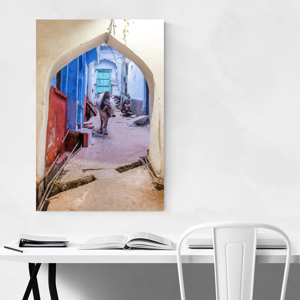 Noir Gallery Sacred Cow Bundi Rajasthan India Canvas Wall Art Print