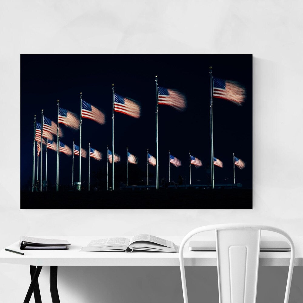 Noir Gallery Washington DC National Mall Unframed Art Print/Poster