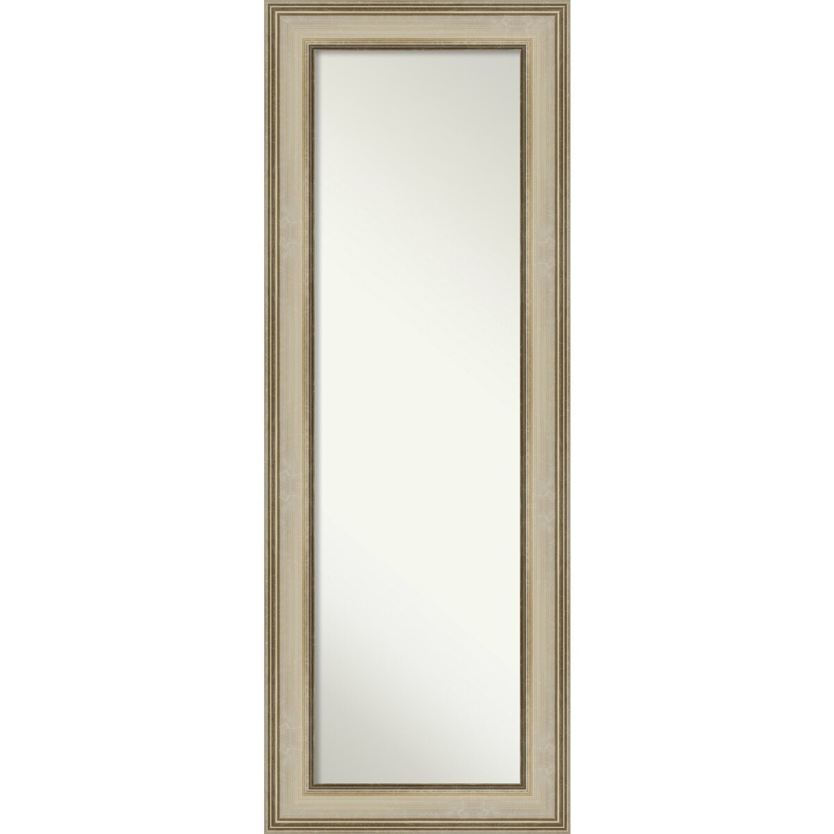 Non-Beveled Full Length On The Door Mirror - Colonial Frame - Colonial Light Gold - Outer Size: 20 x 54 in