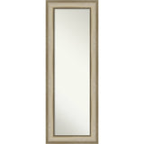 Non-Beveled Full Length On The Door Mirror - Colonial Frame - Colonial Light Gold - Outer Size: 20 x 54 in