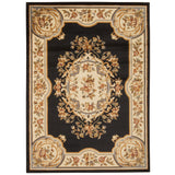 Nourison Paramount Traditional Persian Medallion Area Rug