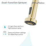 Nouvet Single Handle, Pull-Down Kitchen Faucet