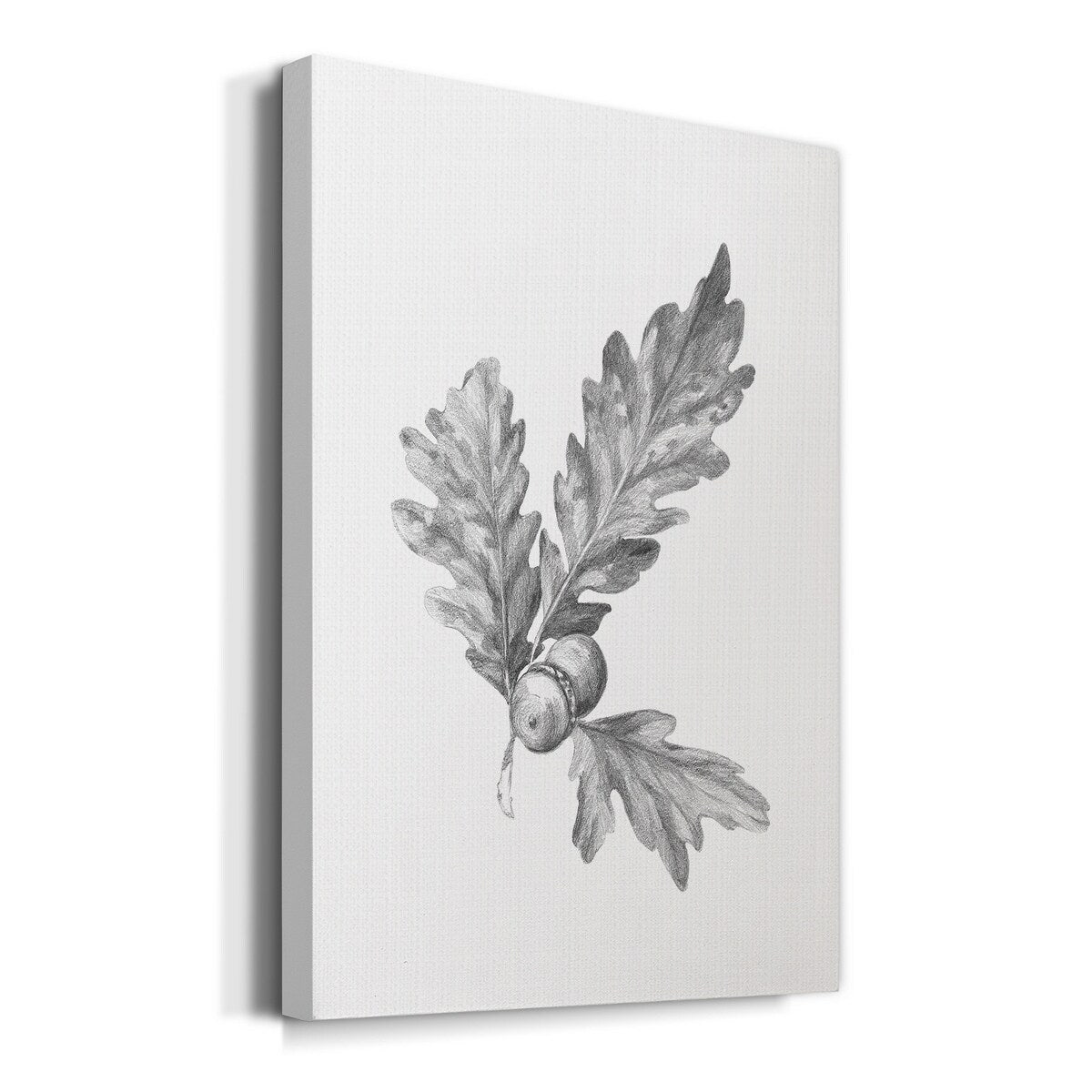 Oak Leaf Pencil Sketch I Premium Gallery Wrapped Canvas - Ready to Hang