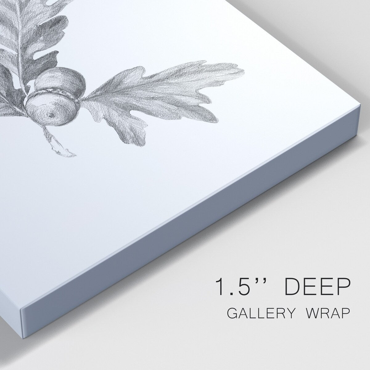 Oak Leaf Pencil Sketch I Premium Gallery Wrapped Canvas - Ready to Hang