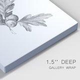Oak Leaf Pencil Sketch I Premium Gallery Wrapped Canvas - Ready to Hang