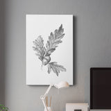 Oak Leaf Pencil Sketch I Premium Gallery Wrapped Canvas - Ready to Hang