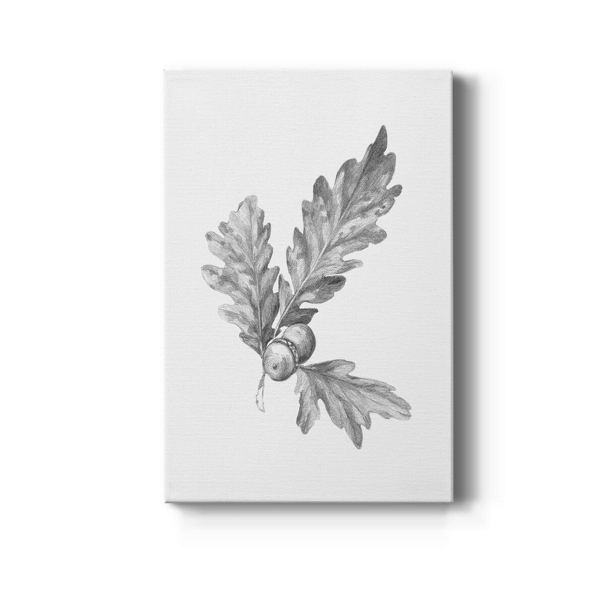 Oak Leaf Pencil Sketch I Premium Gallery Wrapped Canvas - Ready to Hang