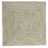 Ocean's Edge Braided Indoor/ Outdoor Area Rug