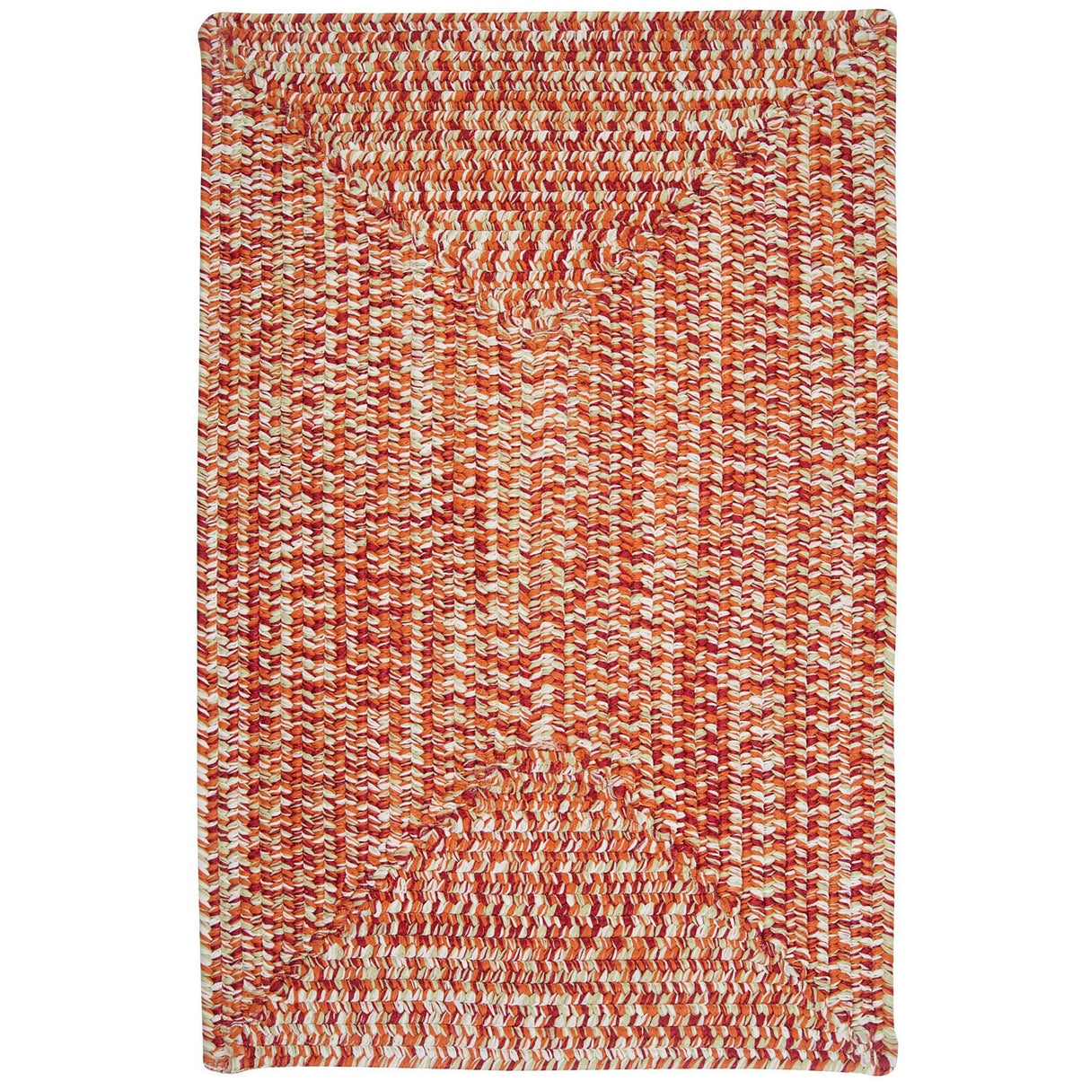 Ocean's Edge Braided Indoor/ Outdoor Area Rug