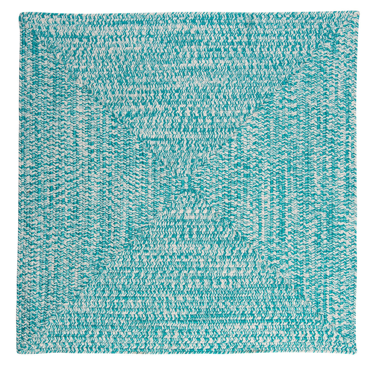 Ocean's Edge Braided Indoor/ Outdoor Area Rug