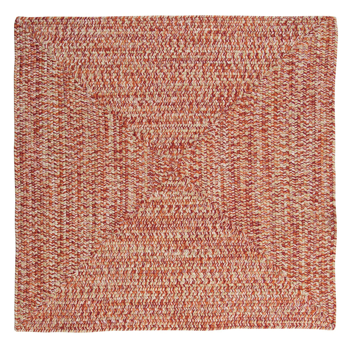 Ocean's Edge Braided Indoor/ Outdoor Area Rug