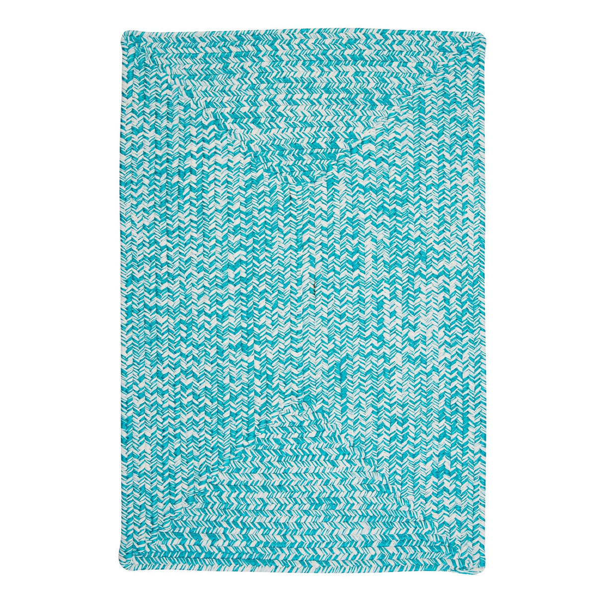 Ocean's Edge Braided Indoor/ Outdoor Area Rug