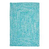 Ocean's Edge Braided Indoor/ Outdoor Area Rug