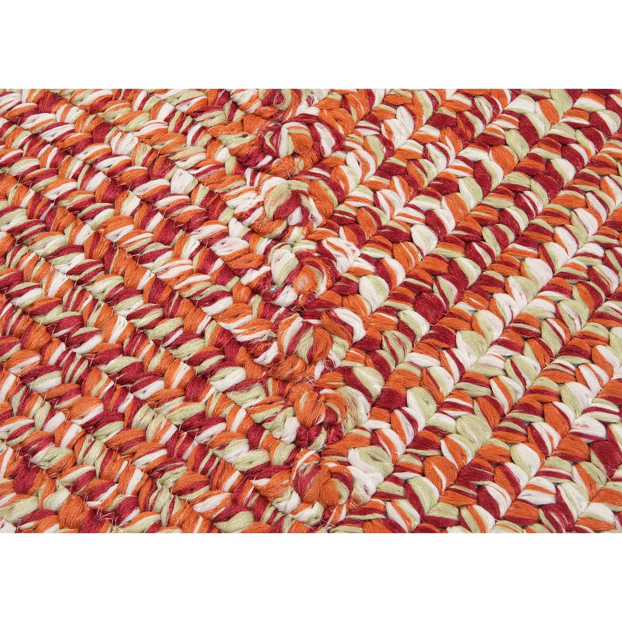 Ocean's Edge Braided Indoor/ Outdoor Area Rug