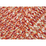 Ocean's Edge Braided Indoor/ Outdoor Area Rug